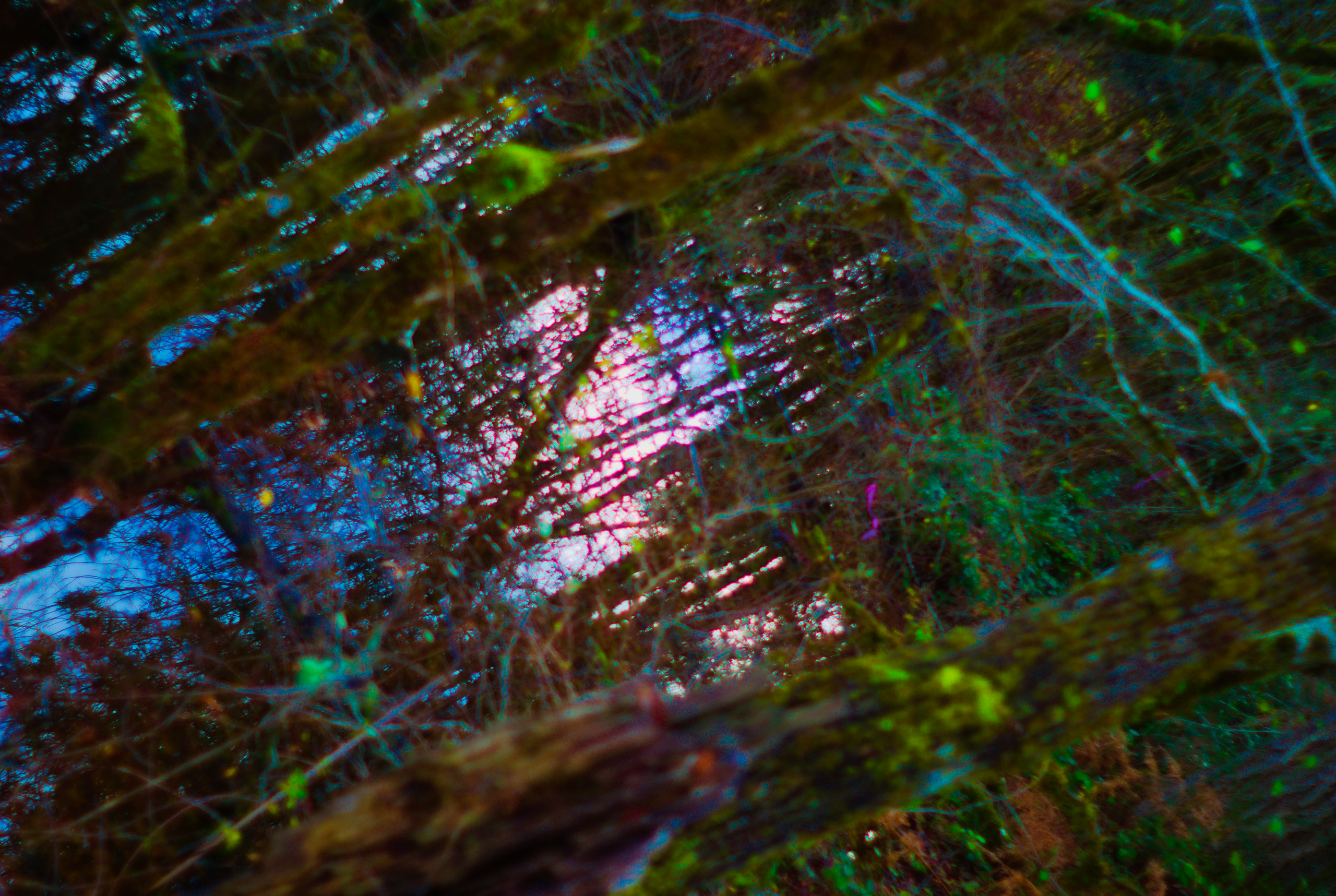 ᚠᛚᛅᛚᛅᛋᚴᛁ